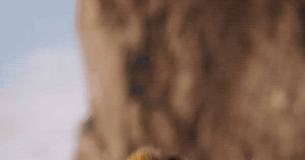 e266602a-47f7-487b-b405-1e1578a747a8.gif