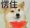 eb5bcc88-9a9a-43e6-bfb7-7f0eb35f9db8.jpeg