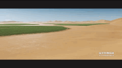 f1dd1e60-39db-4698-bed9-677e50431c10.gif