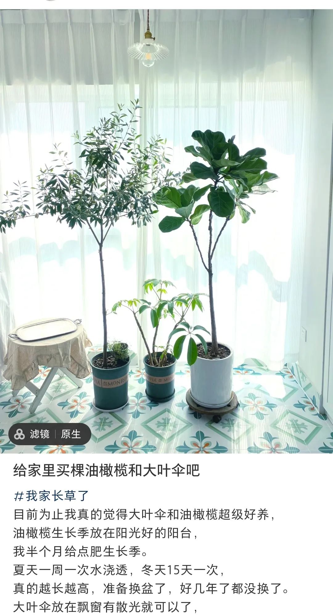 f3984be5-b7dd-49c0-88d9-f4e5854891c8.jpeg