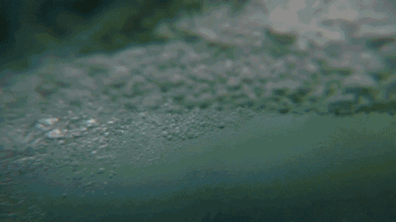 f6c5e201-6c79-42c5-856c-46f0601f1406.gif