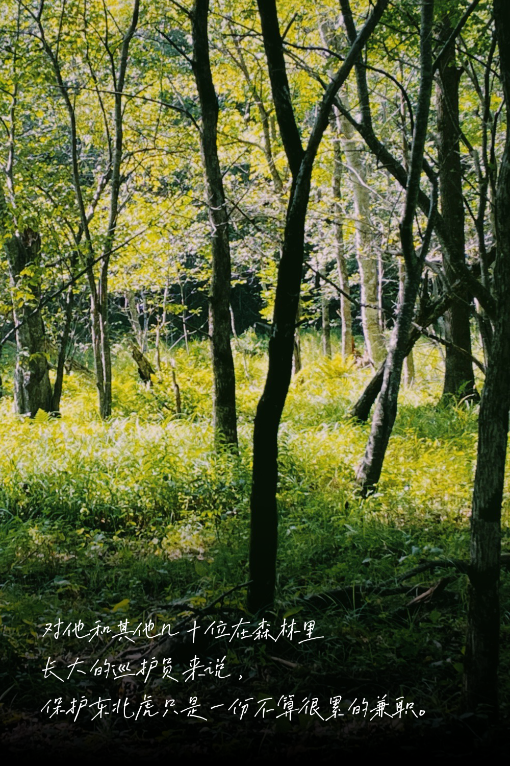 b3205396-116c-472f-9f45-10abb88d3d28.png