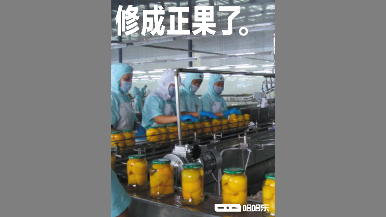 cfaafa09-8a09-43a2-9db1-ee3c328bb51d.jpeg