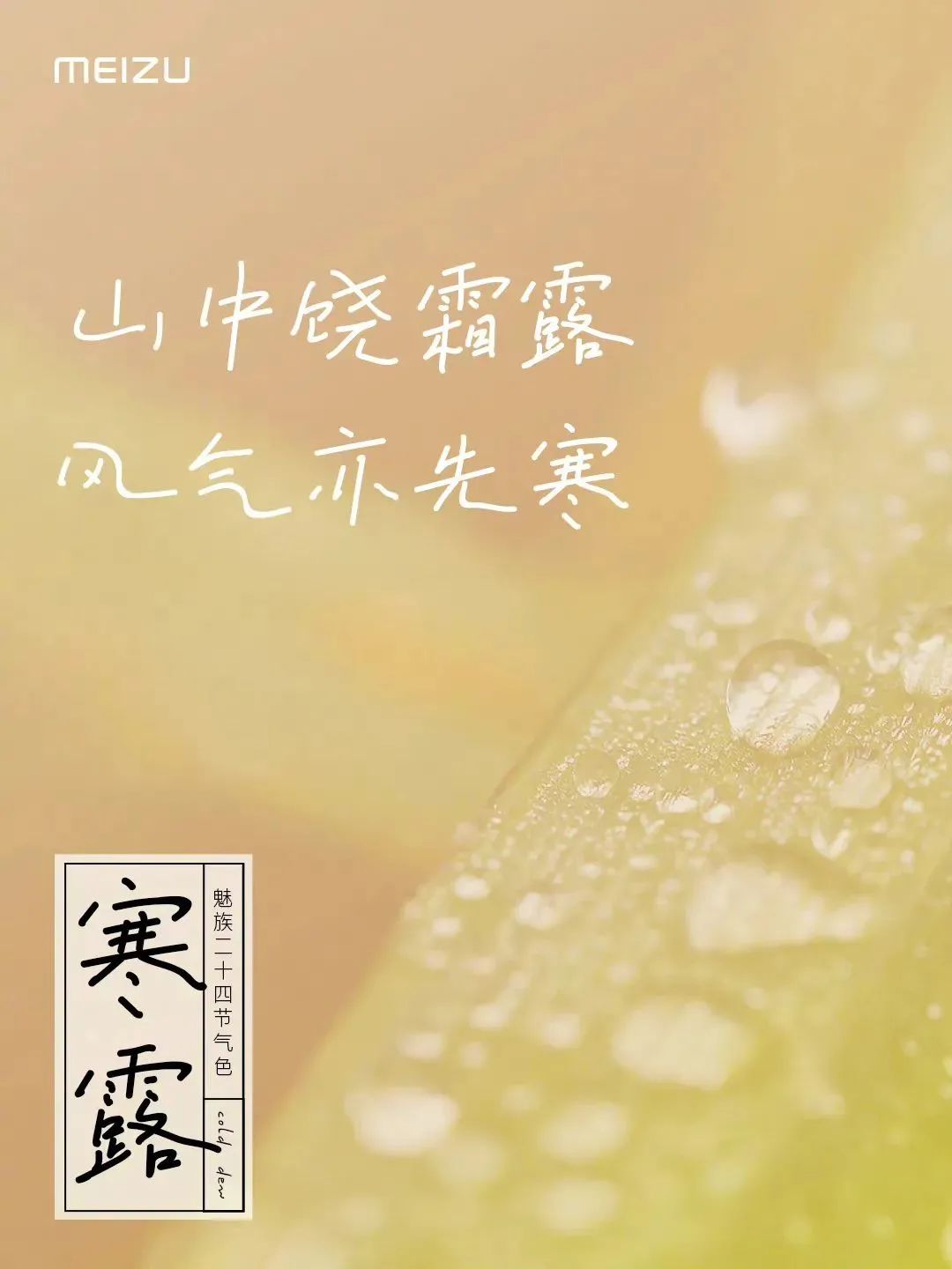 1dd007b3-60b2-480f-8ccf-cee433656187.jpeg