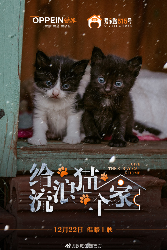 61396b6a-608a-4171-a80f-d45a0d819d1d.jpeg