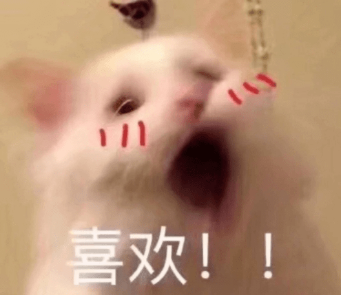 92e61503-f2e6-4668-90b1-89f311715233.png