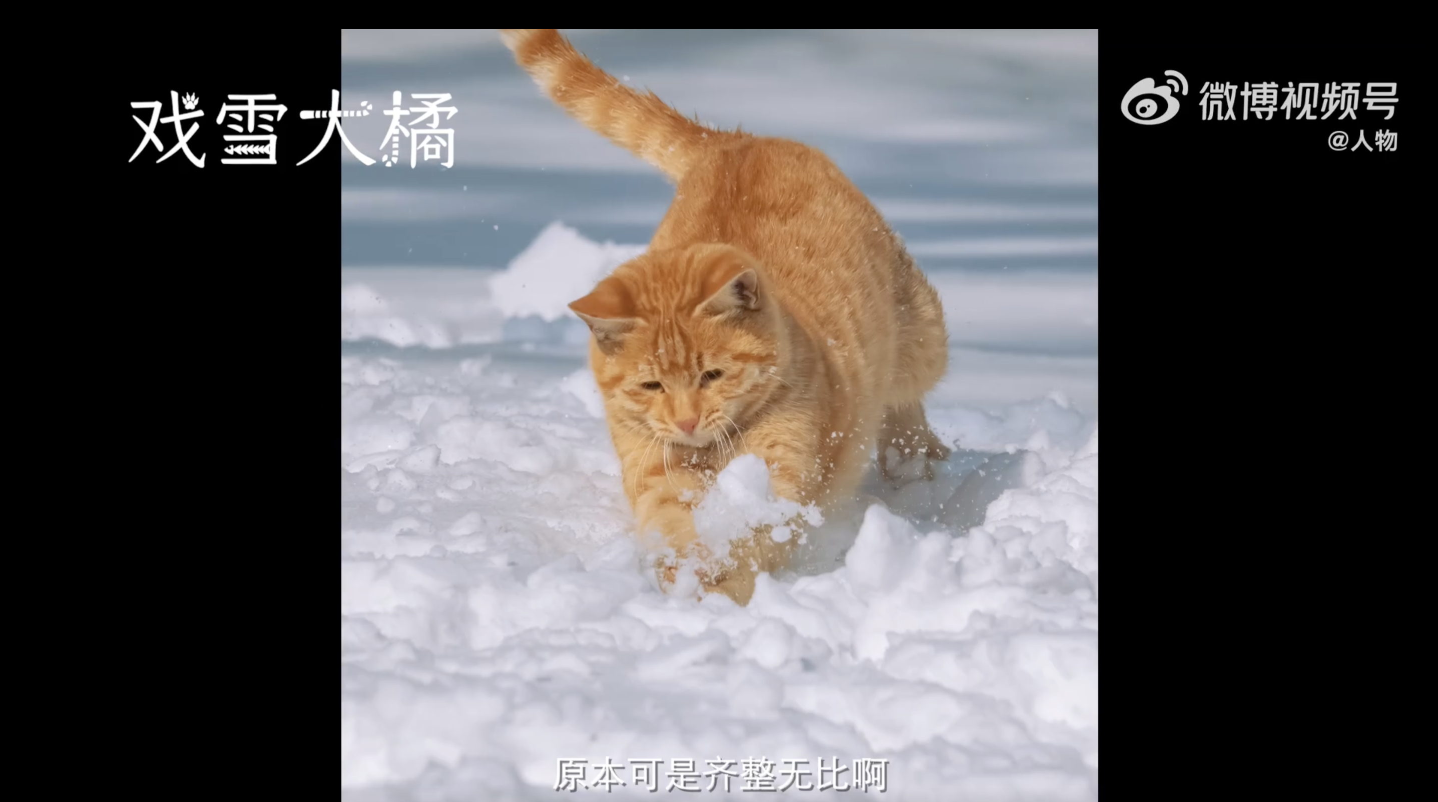 24da5f8c-f5b7-465c-a2bd-9d2d4dc32f2a.png