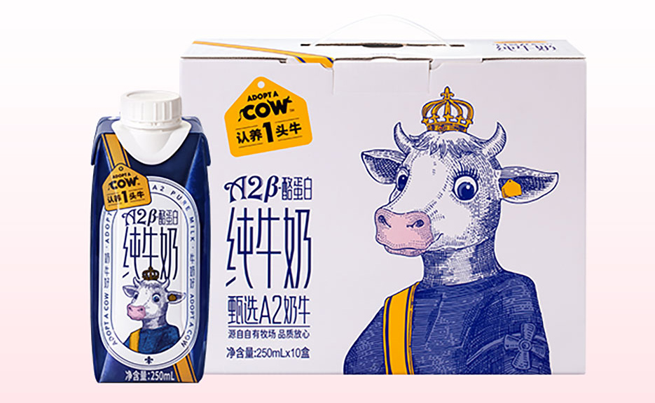 72ee4fef-296a-4c01-97e2-65d578a07b20.png