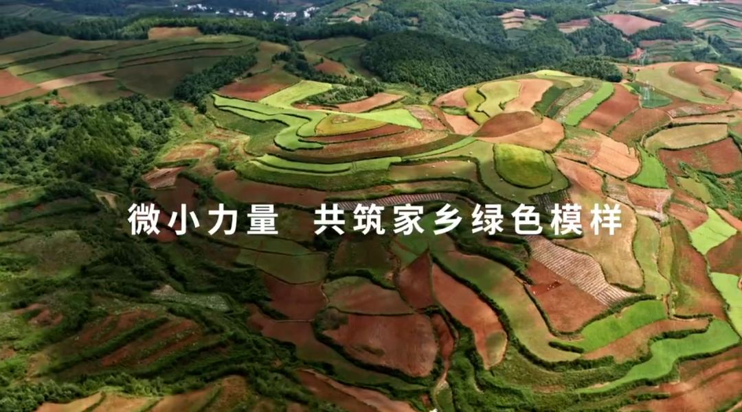 d0c96a7d-f956-46e1-a7f6-b4c494afe3a1.png