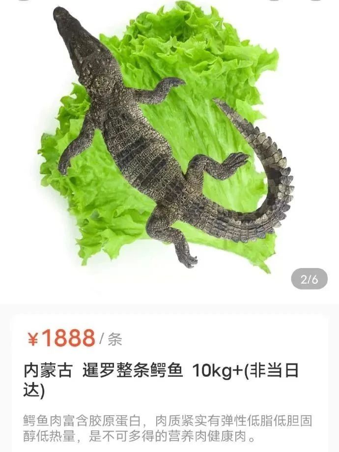 9426b4cd-132d-4ca4-b9a4-46e6dd0d5ef0.jpeg