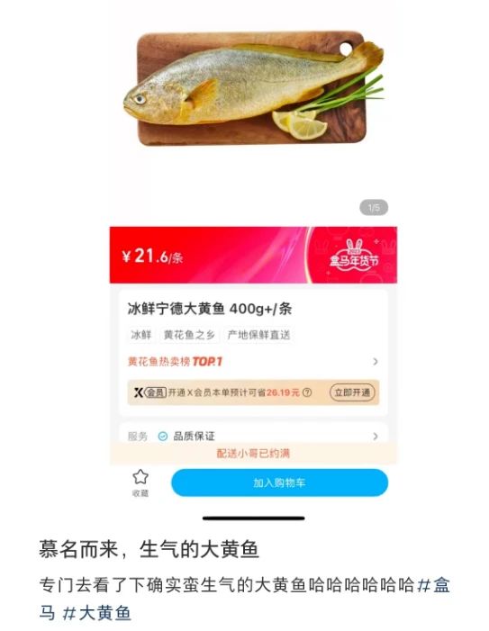c5182dd6-40e8-4a4e-886c-61073858fe87.jpeg