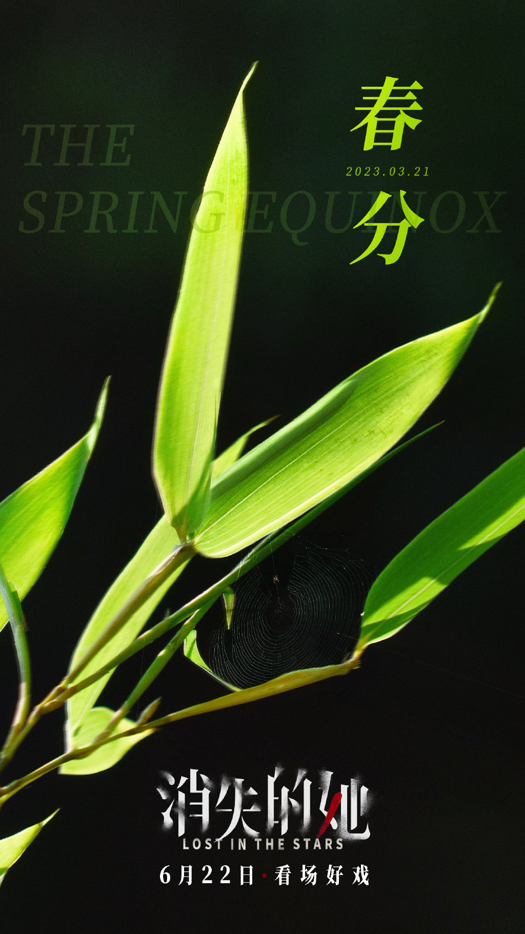 05fd3003-1c84-467e-b8b7-329cb1421dbe.png