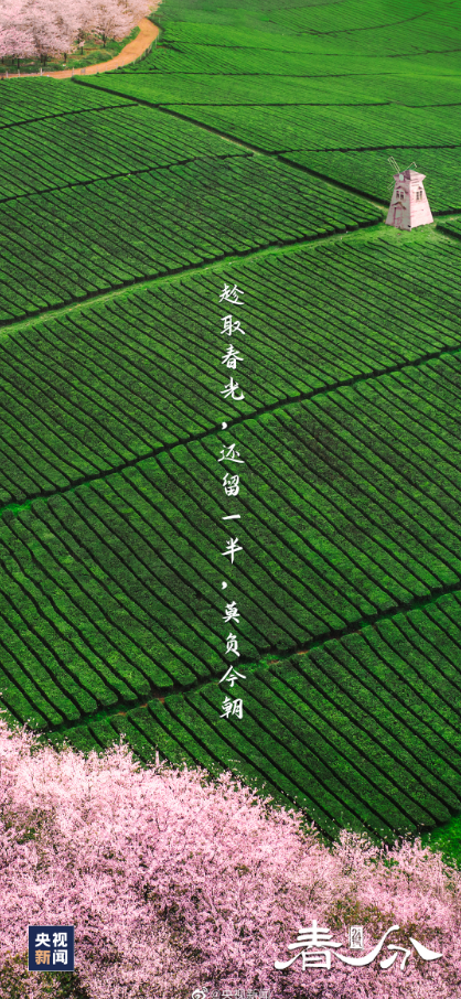 4062bcc6-921c-4a09-86a1-9ca2cad8f9db.png