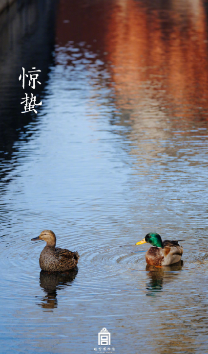 40cbf025-d5de-442b-b9e7-459442e062a5.png