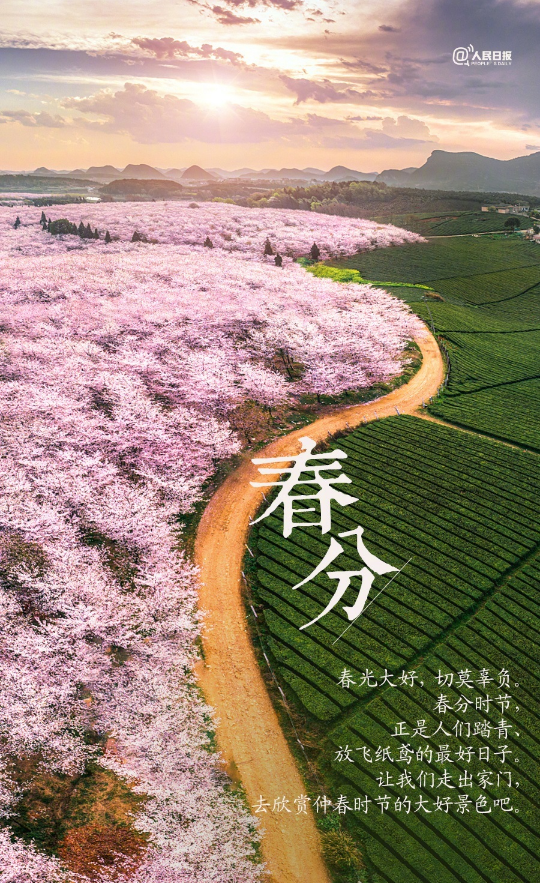 4d74b1ba-41f6-494c-a1fd-c22538f209b1.png