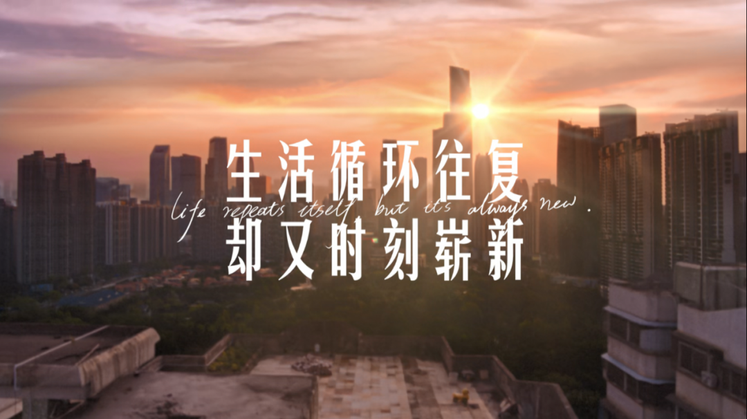 56b43d1d-4792-470f-889d-af87e56da429.png