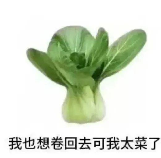 04bbfb9d-6021-4e27-87d5-f41abbb3da22.jpeg