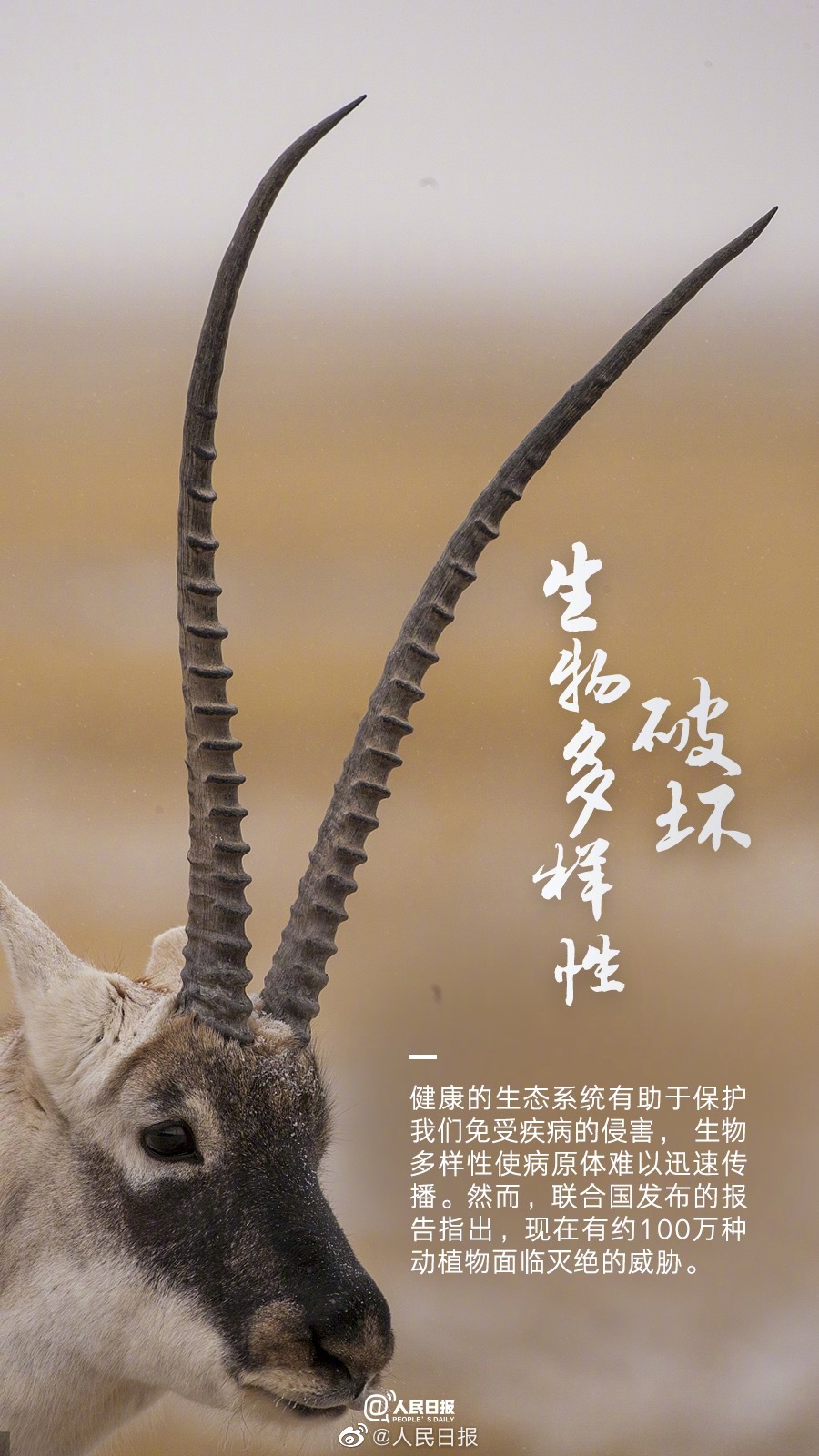 0e748b52-d448-4a1a-9008-85f00b6a0f36.jpeg