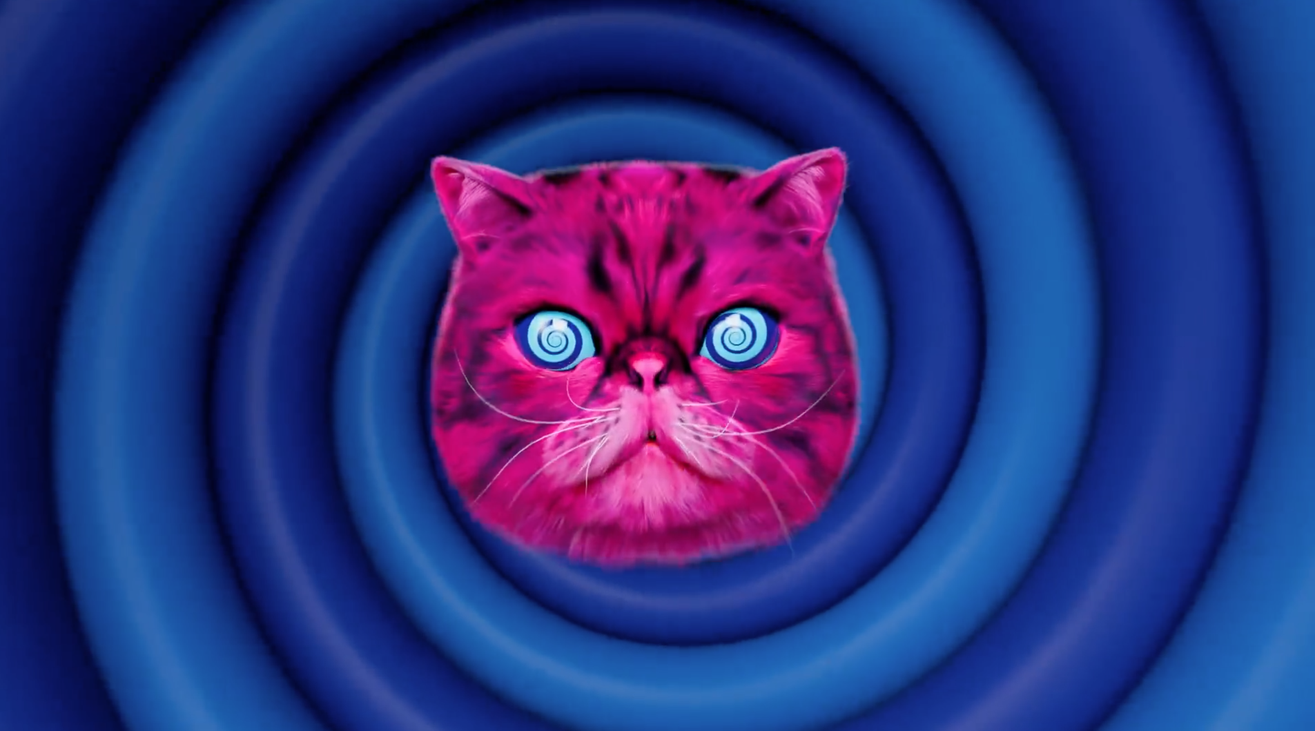 e269f297-6e13-41b0-9c7d-a49efad26470.png