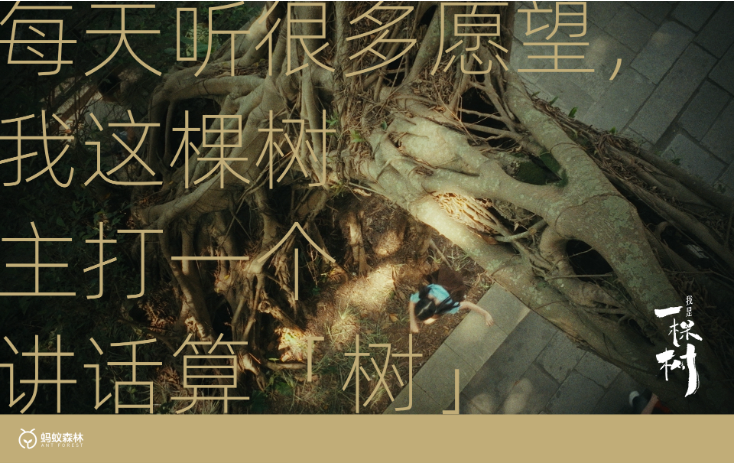 98222f9c-b465-42db-a4c5-85fc81b48bcf.png