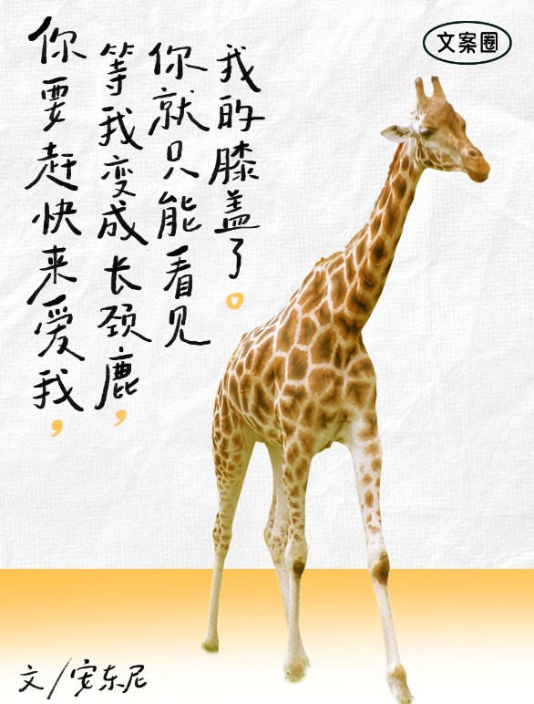 11e54b9c-48ce-4719-8a2c-992fd964e113.jpeg