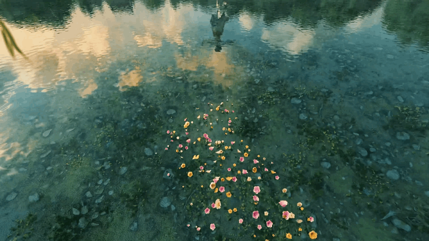43c945d7-2866-4d0d-9921-7d1e46c4b525.gif