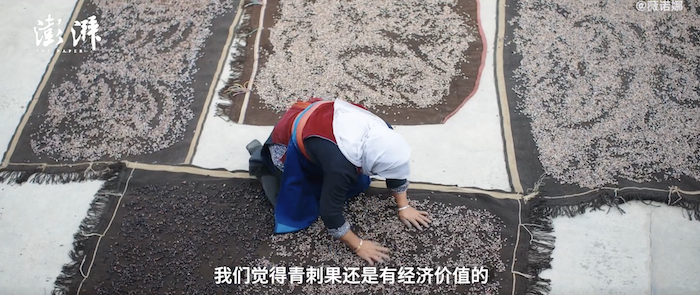 94533f37-6afd-4a55-a866-f35227dc2c01.png