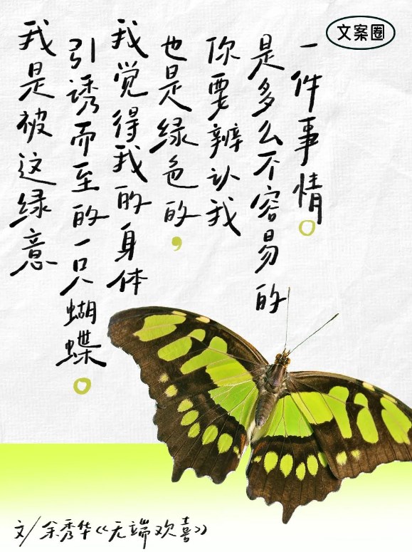 d4f1a348-5d6a-478d-a817-ac6e594e36a3.jpeg