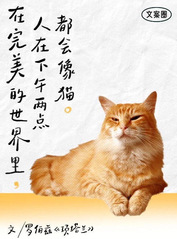 d6ddb904-302d-43fc-bc11-c51c3609f658.jpeg