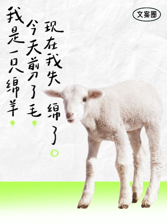 d9c69972-9e51-4cb9-9957-ffeccb17c8ff.jpeg
