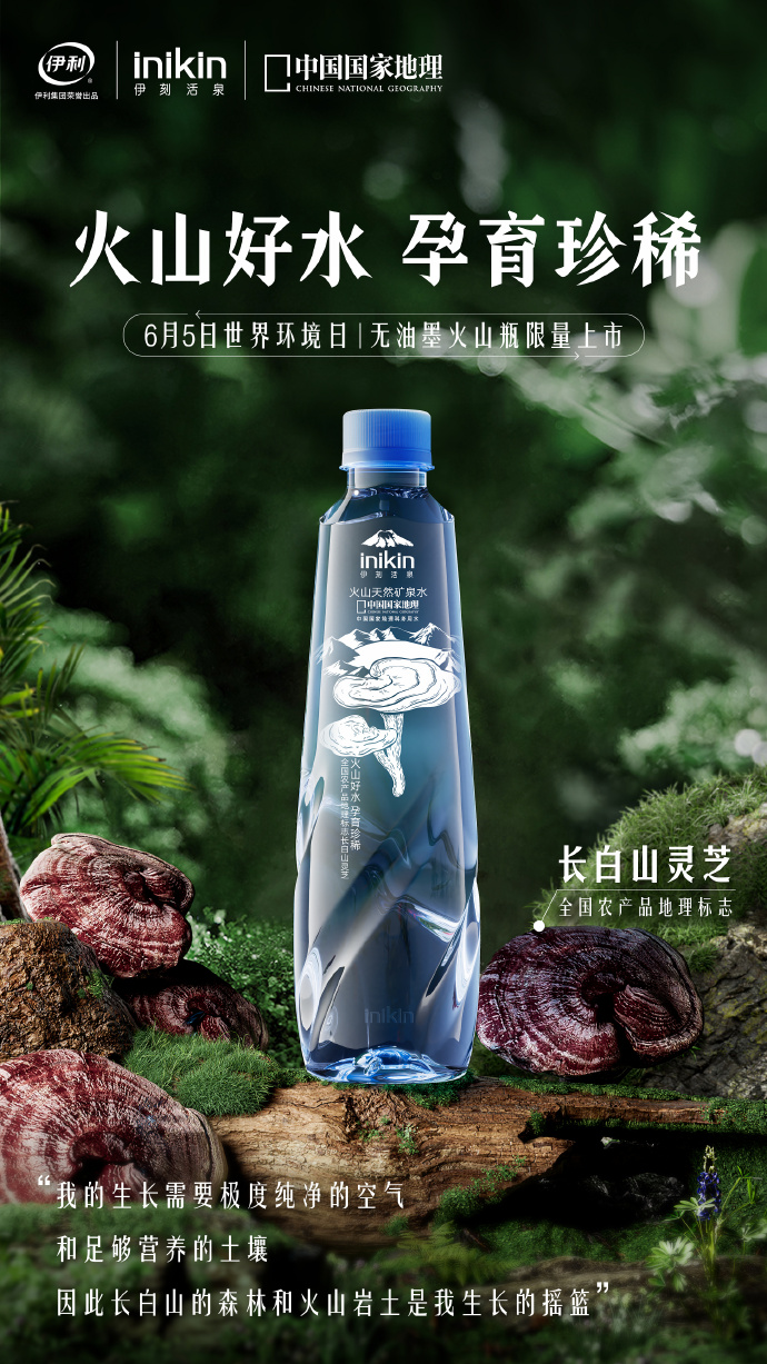 f3e8030c-69cd-45bf-88b8-f131ae354cfe.jpeg
