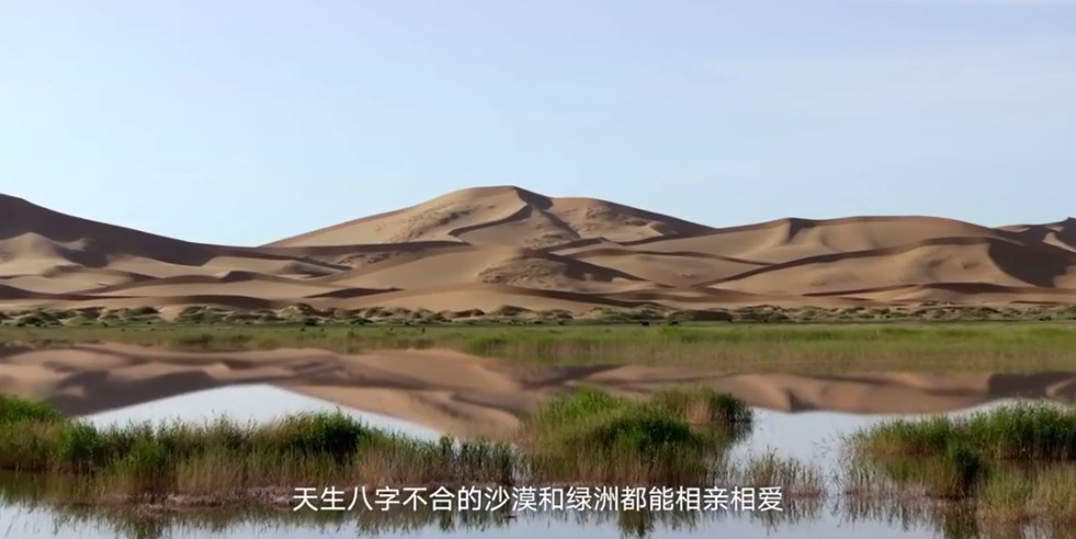 ab8cf423-86ce-4bd1-827a-e9b3f3fa0405.jpeg