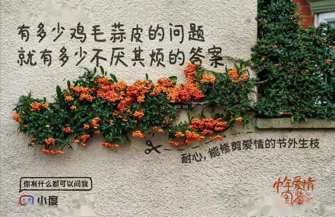 55d1a67d-01cf-43e9-b49e-f7d033764e13.jpeg