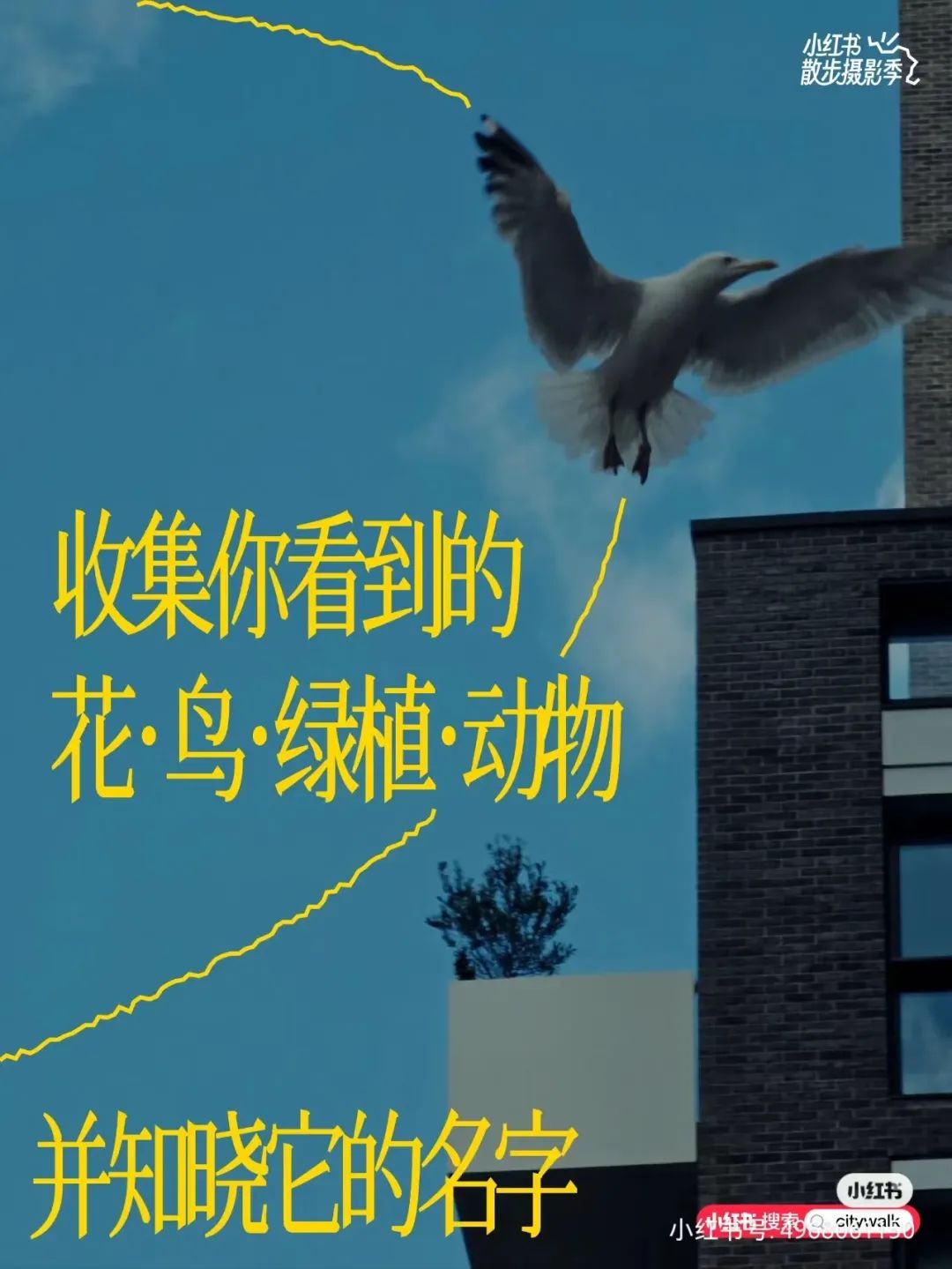896f44ba-5504-436b-8b33-321629527a69.jpeg