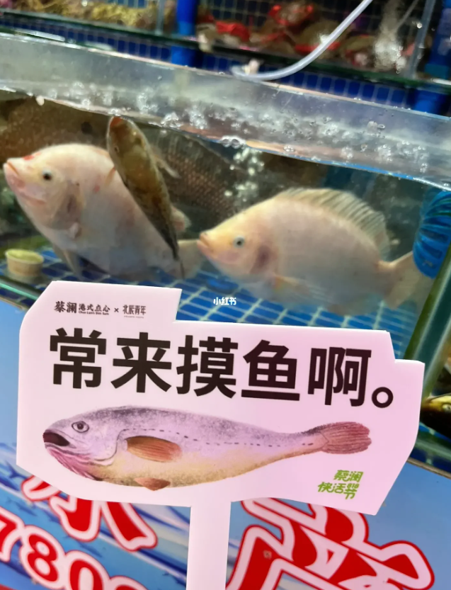 f78819eb-43b5-4f3e-8503-760b5b51588f.png