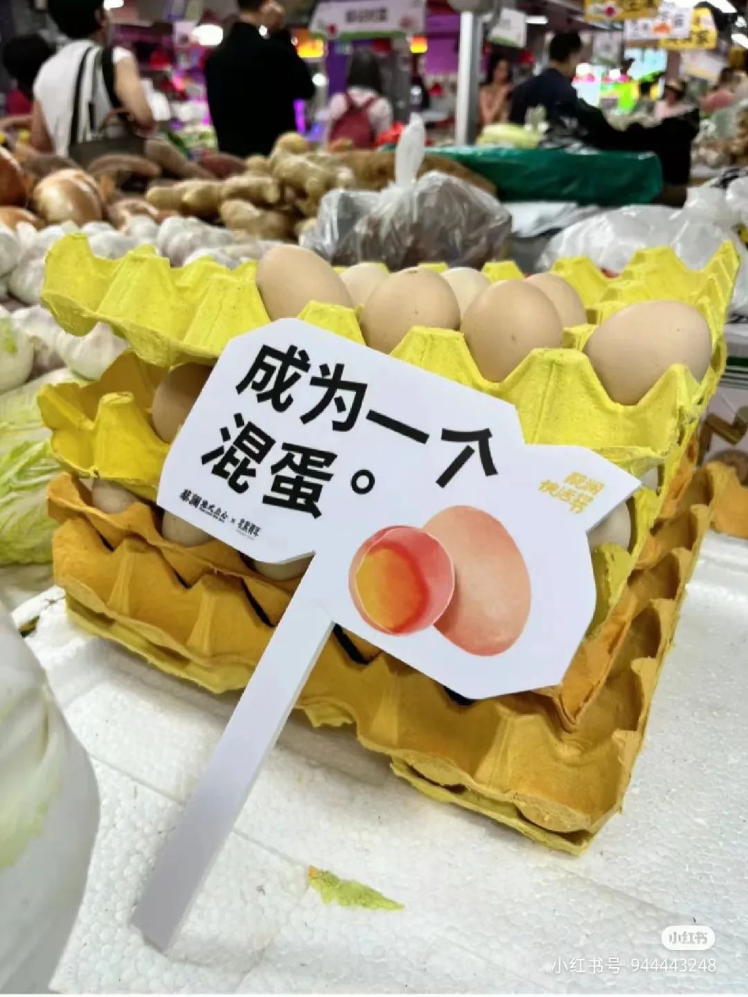 1ec675a8-1d1b-43e5-a10b-0f10ca49d082.jpeg