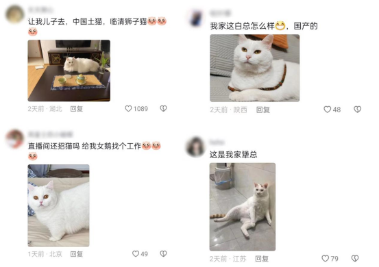 3a8df4cb-a194-41e5-83d9-6225240221cd.png