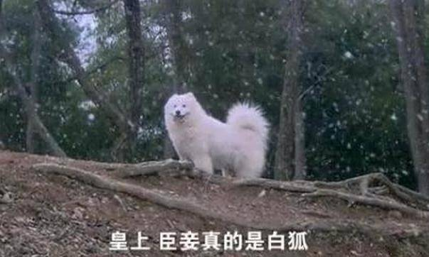 9a95254b-6683-43db-bb68-f2a68bf5ffef.png