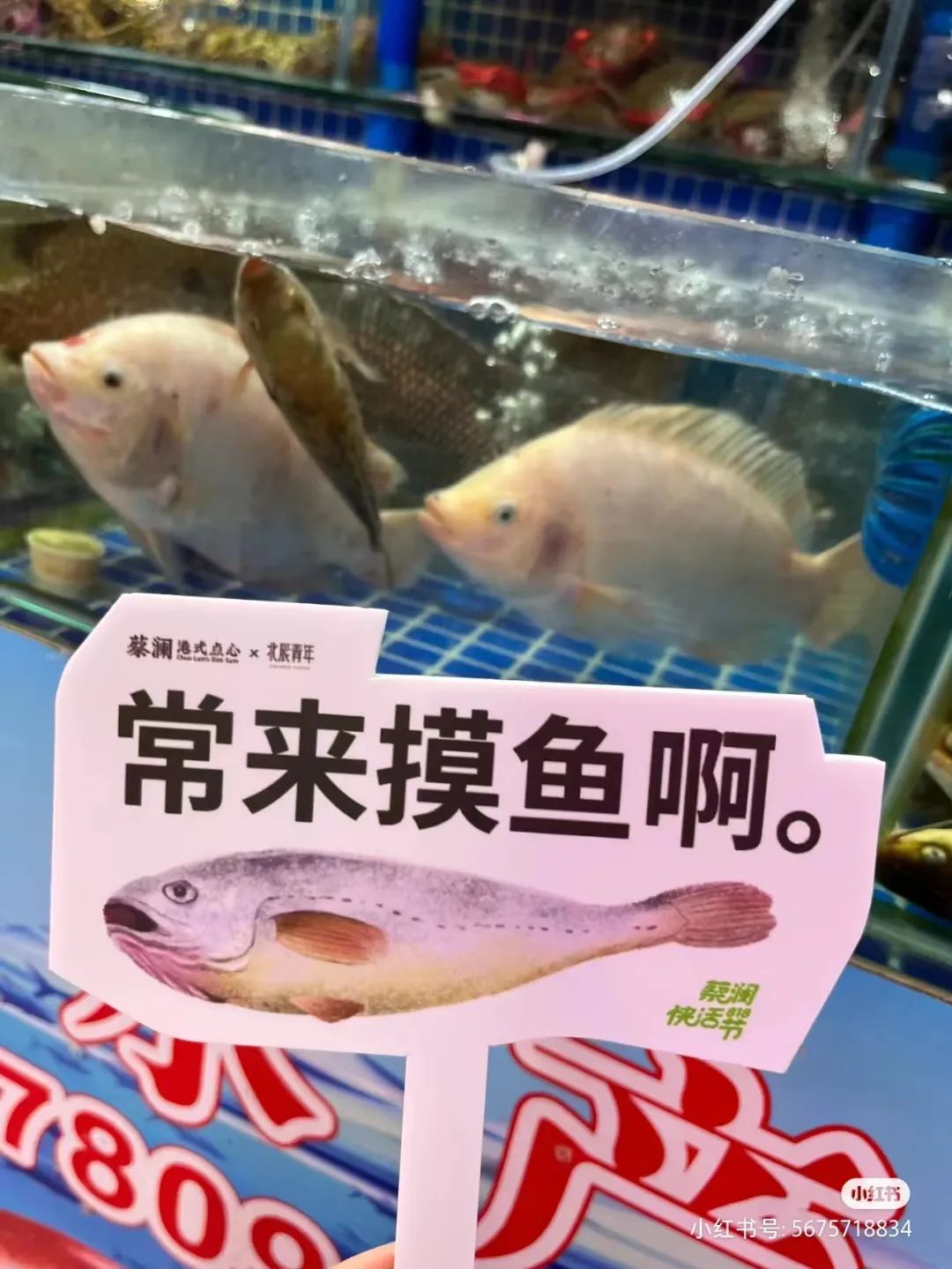 d4b6126d-8164-459d-a9dd-7ac346ff0963.jpeg