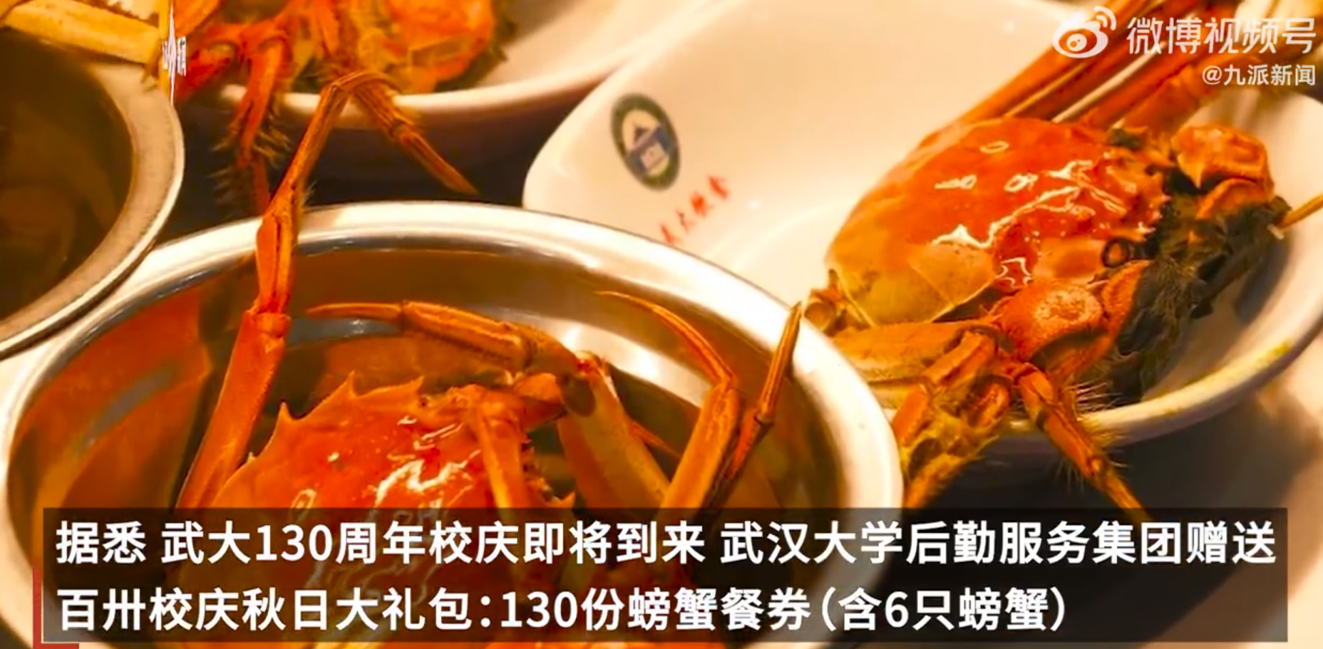 b0186675-d0d5-4d6f-a1cc-093e08f0fe6e.png