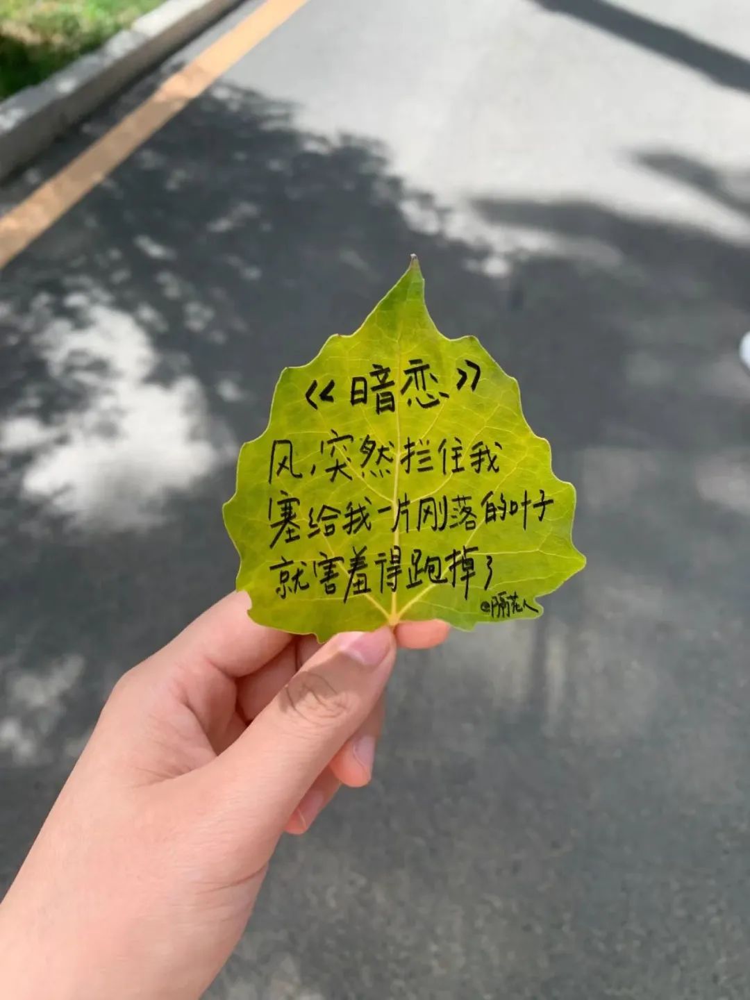 0dddc504-5abf-493b-988c-84a9bae03bd0.jpeg