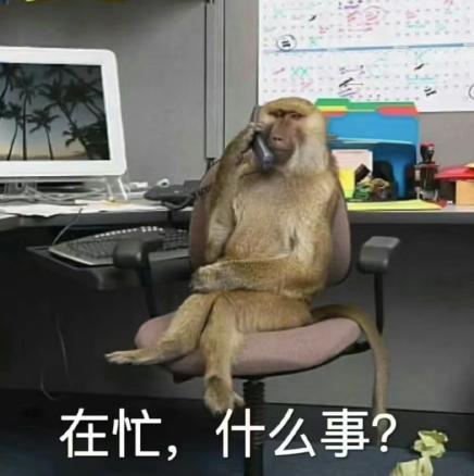 40fed44b-78f1-44bf-a4a6-59085aaf6242.jpeg