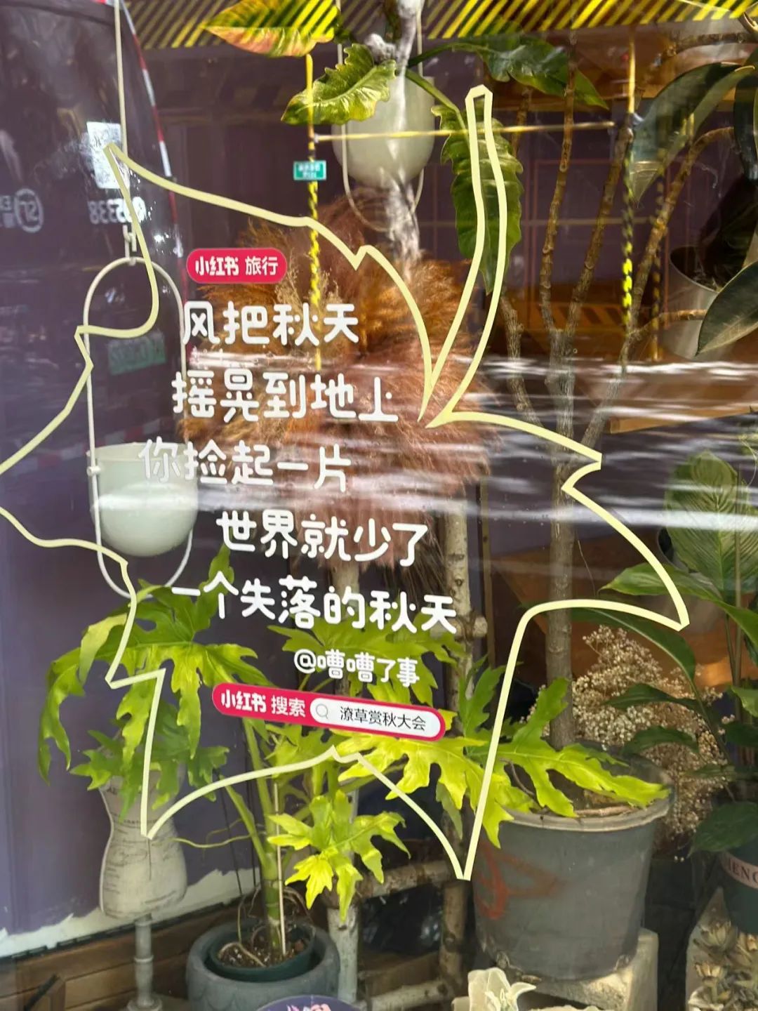 bc67bc5f-b6dd-4273-bc1b-4bd1e7b2a8bb.jpeg