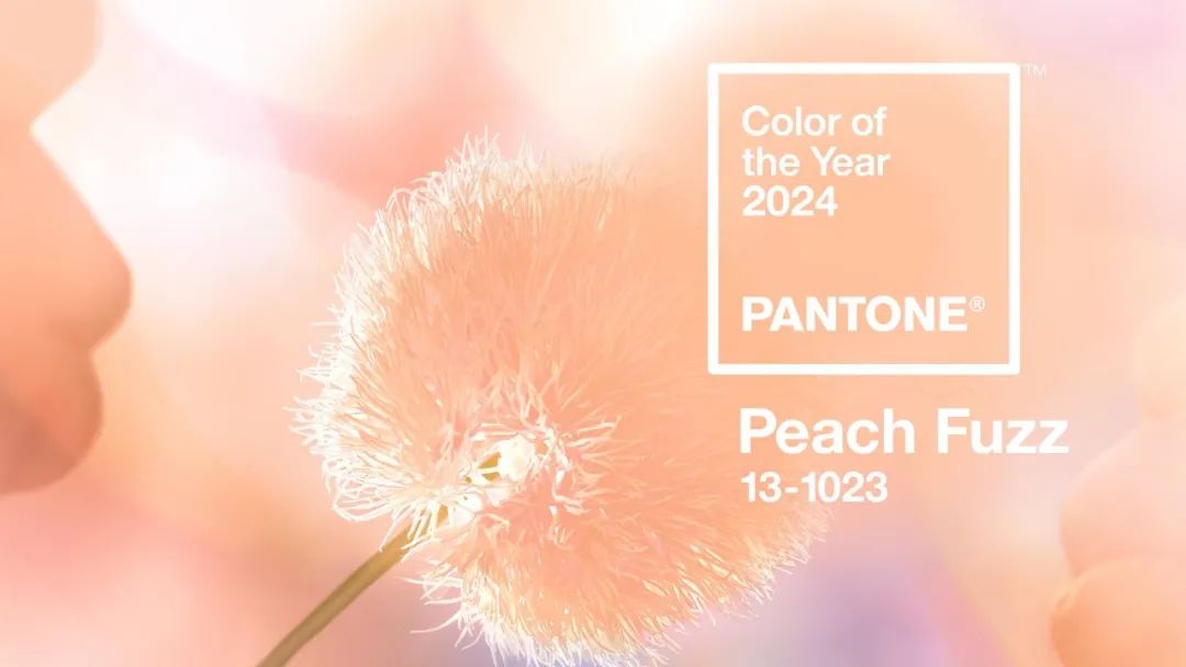 PANTONE 2024 4A   3aa27368 D40b 4b2f 9562 2992133a1282 