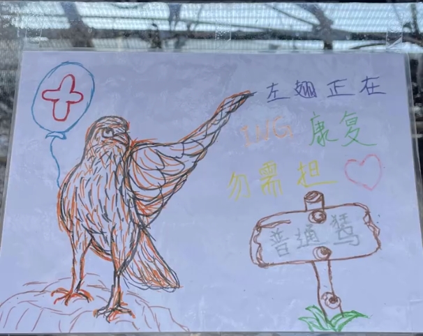 486af6de-4f20-4904-a8fd-54ae8bf35def.png