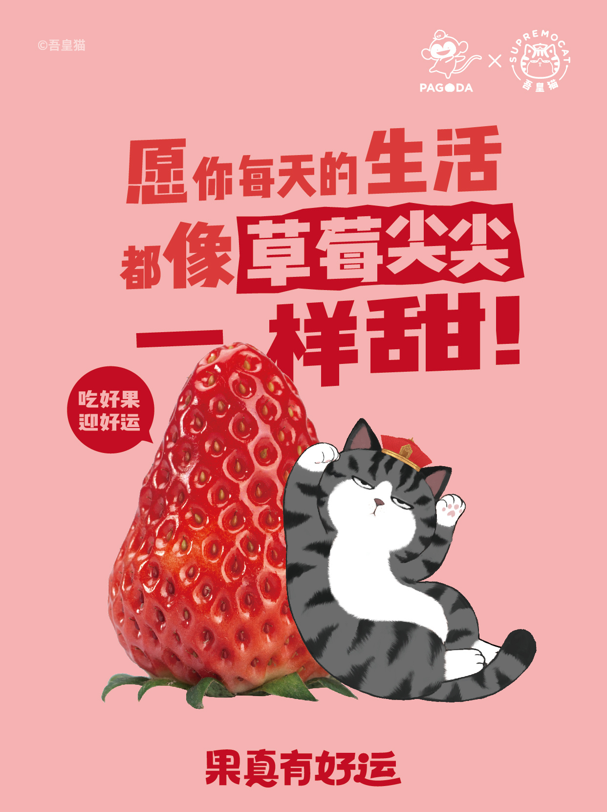 7065d6e9-da9e-4e55-8b39-ea9813fdf0b7.jpeg