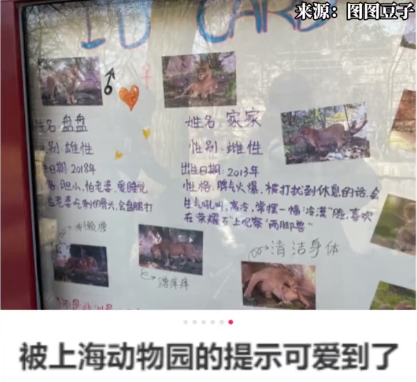 c6c4417c-163e-4ccc-afeb-c51940f53d8f.png