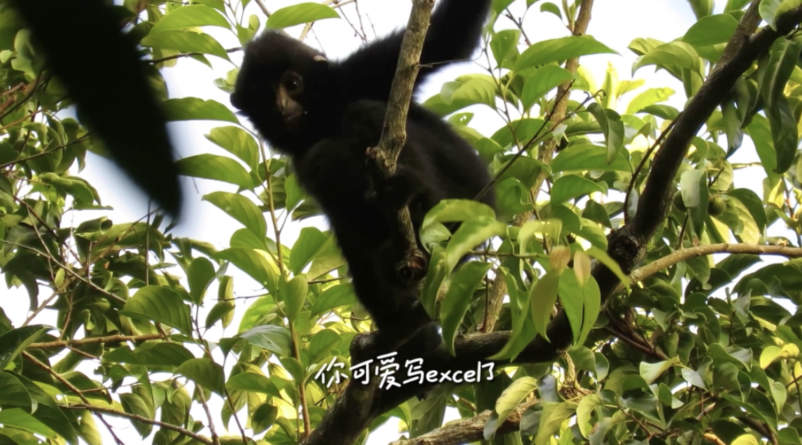 0870128f-ee2c-4521-a98c-3f377ec65796.png