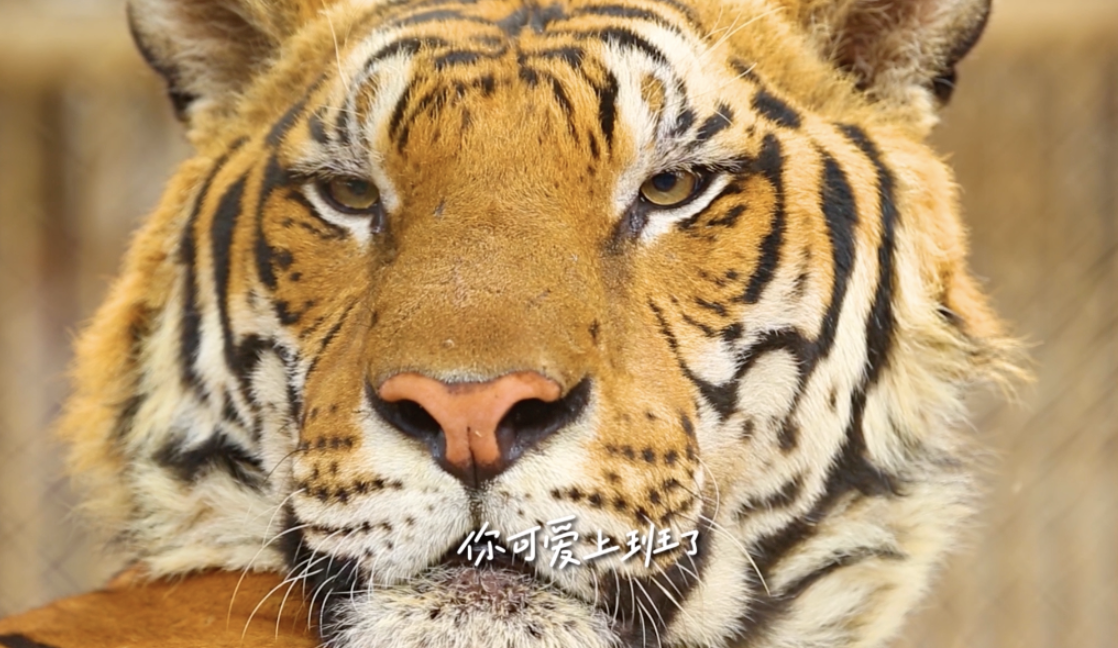 3862640d-10d6-4251-9031-2d13f6cbbd2c.png