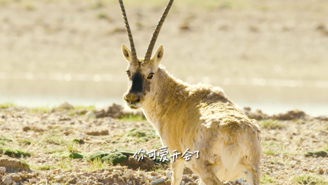 5196f57f-b8f9-4a6a-b879-5456cdccbbd2.png
